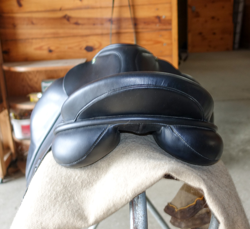 pic of Ideal Dressage Saddle back