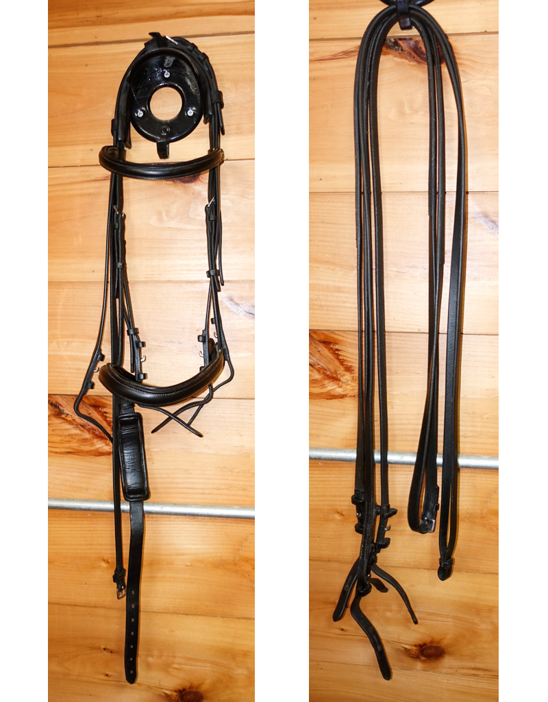 pic of Passier Bridle