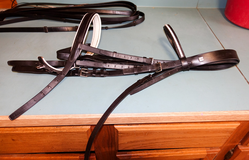 pic of Schumacher Bridle 2