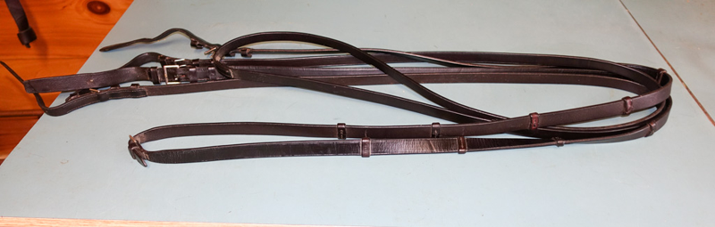 pic of Schumacher Bridle 3