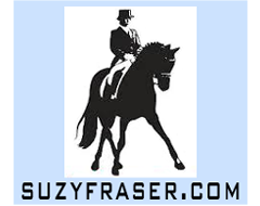 pic of County Competitor Dressage saddle