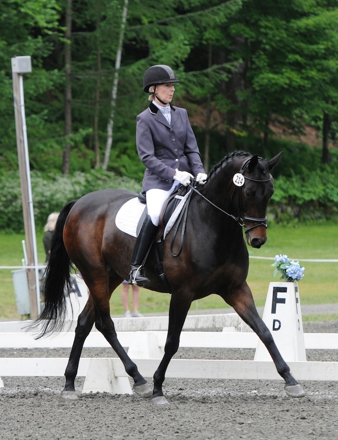 pic of the horse Zuzu